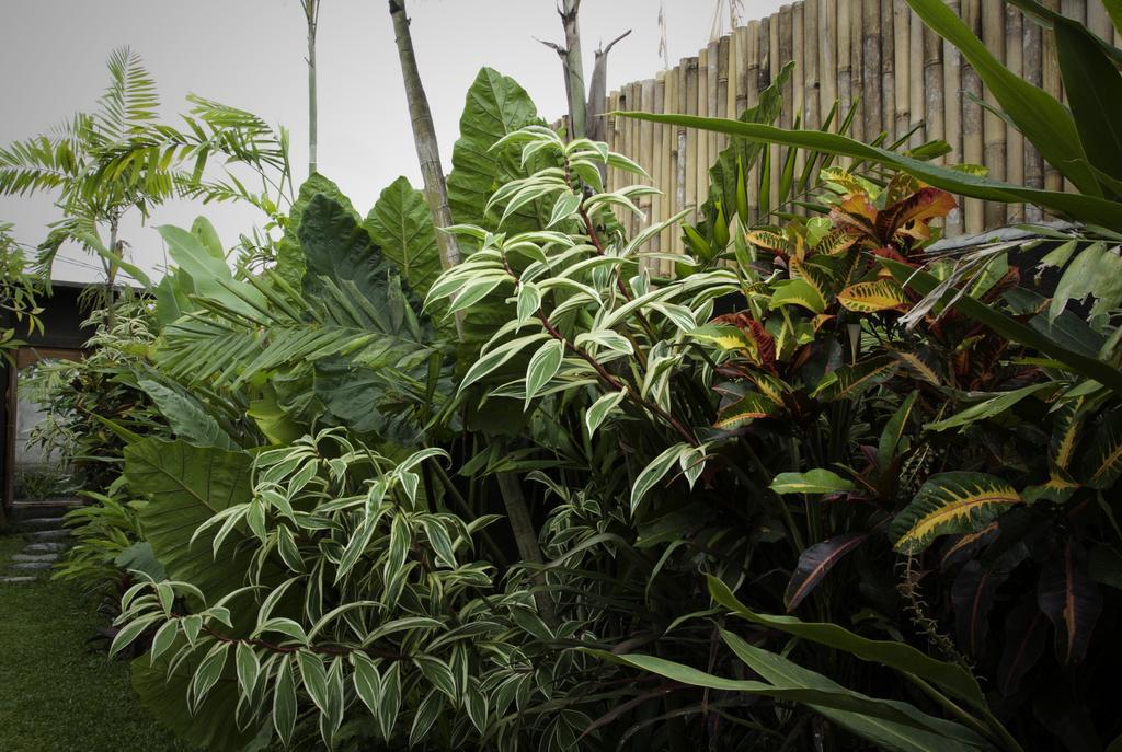 Dugul Ubud Exterior photo