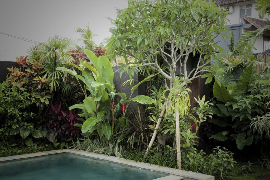 Dugul Ubud Room photo