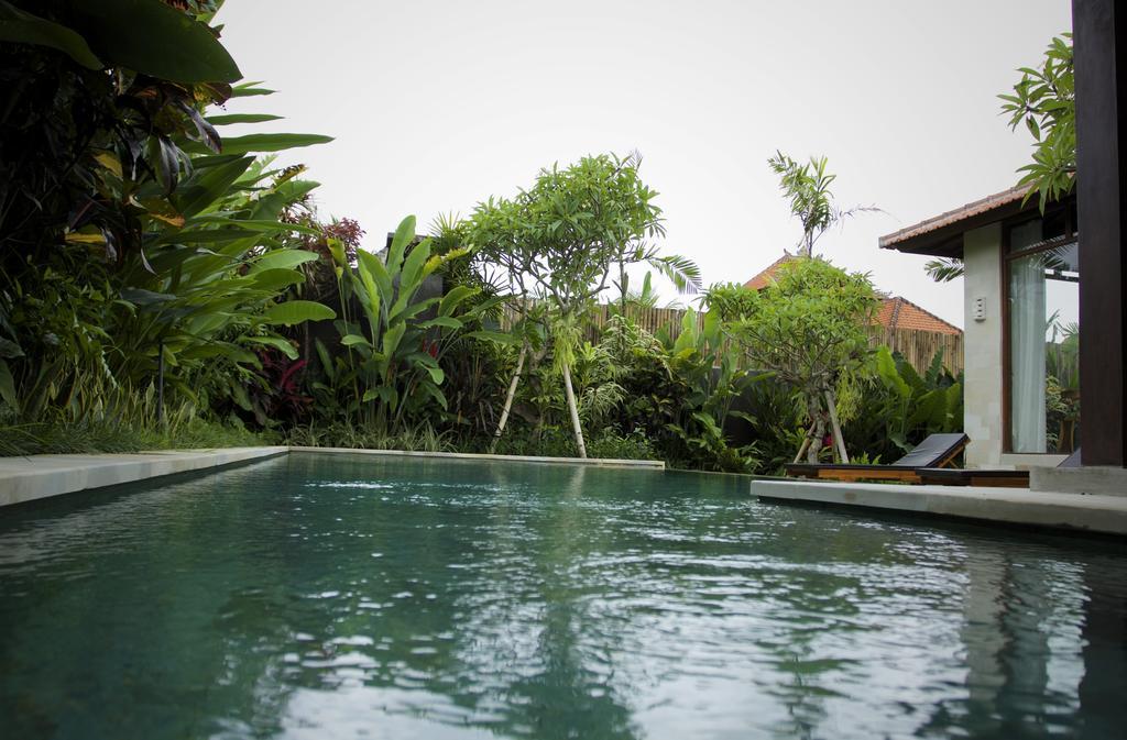 Dugul Ubud Room photo