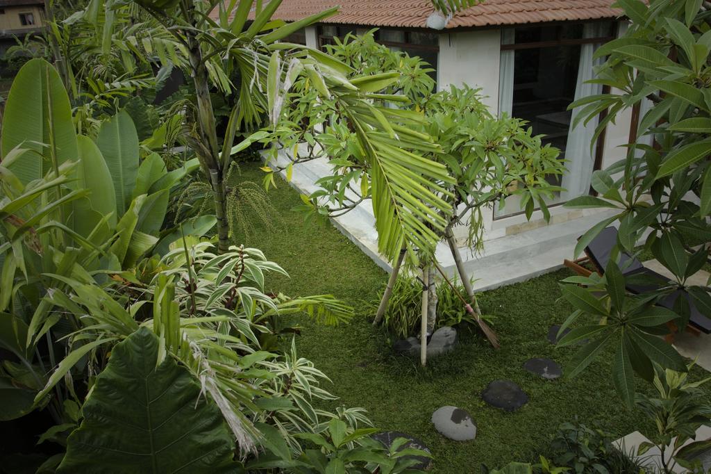 Dugul Ubud Room photo